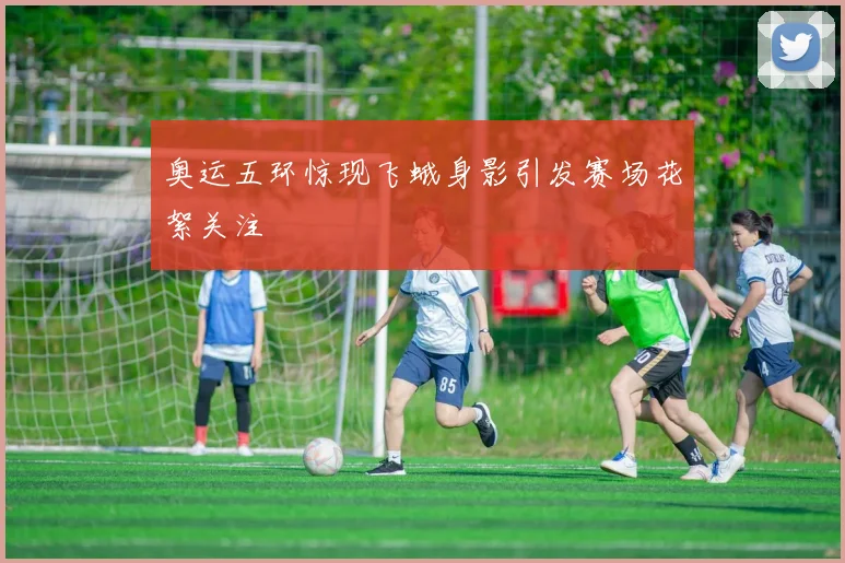 奥运五环惊现飞蛾身影引发赛场花絮关注