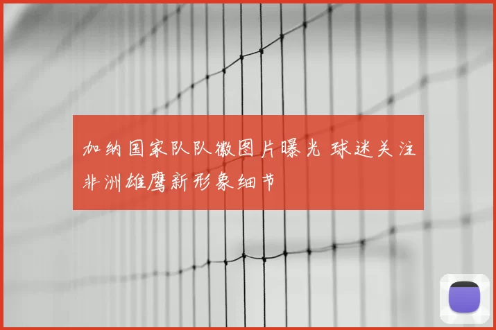 加纳国家队队徽图片曝光 球迷关注非洲雄鹰新形象细节