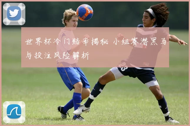 世界杯冷门赔率揭秘 小组赛潜黑马与投注风险解析