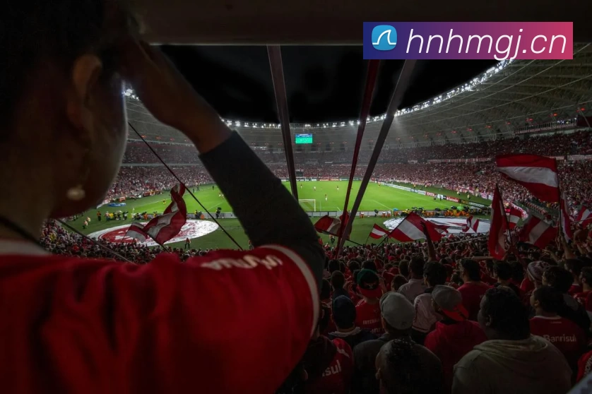 多媒体互动体验